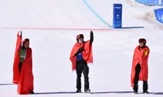 开云体育-德国代表团壮大气势，多位选手斩获金银铜的简单介绍