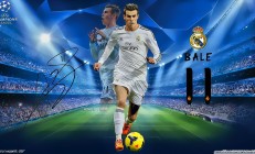 开云体育APP下载-赛道与球场的双重奏，当F1争冠焦点遇上公牛狂胜篮网