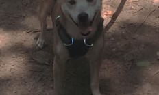 开云体育平台APP-铁壁与利刃，伦纳德如何用防守主宰比赛，马刺锁死开拓者的战术密码