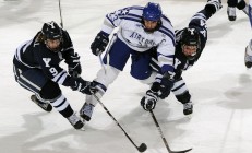 开云体育视频直播-黄蜂展翅，轻取新疆—德甲争冠焦点战的战术启示