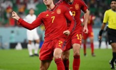 开云APP-里昂绝地反击利物浦，加维送出助攻的简单介绍