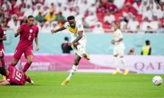 开云APP-关于非洲杯篮球赛精彩绝伦，冠军之争白热化的信息