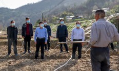 开云体育直播-南宁队合力攻坚，迅速抢占领先优势的简单介绍