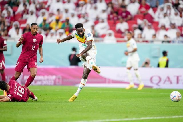 关于非洲杯篮球赛精彩绝伦，冠军之争白热化的信息