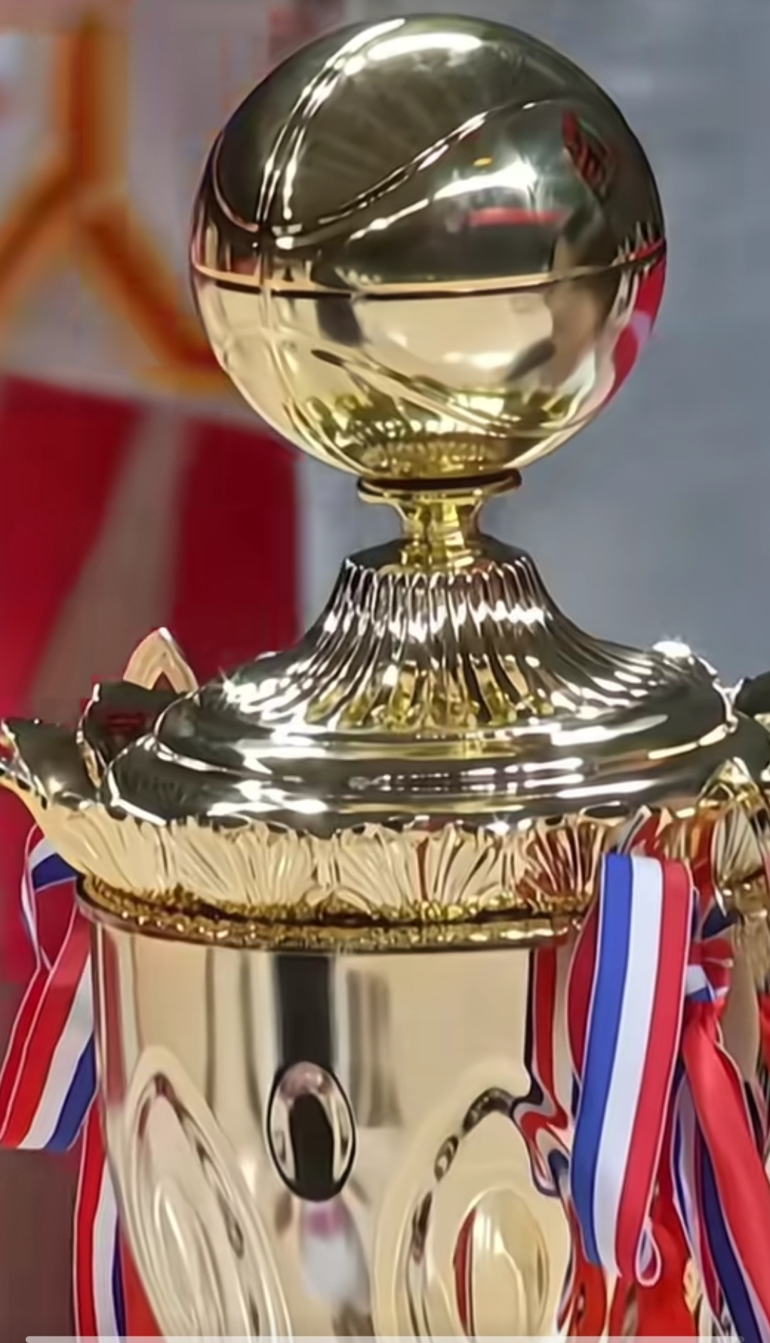 塞尔维亚选手赢得拳击比赛金牌