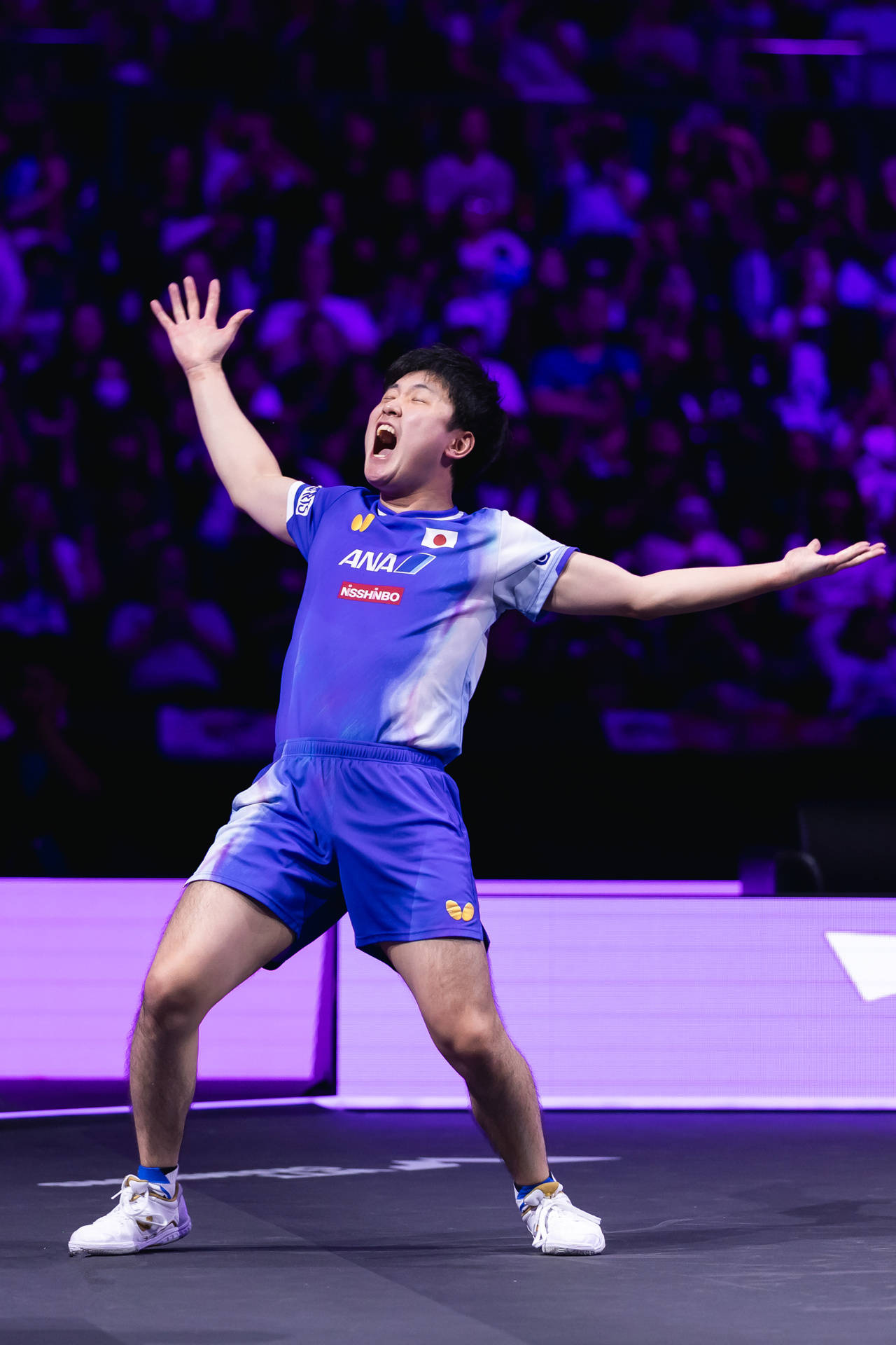 英国乒乓球队鏖战德国乒乓球队,张本智和高光表现的简单介绍 英国乒乓球队鏖战德国乒乓球队,张本智和高光表现的简单介绍