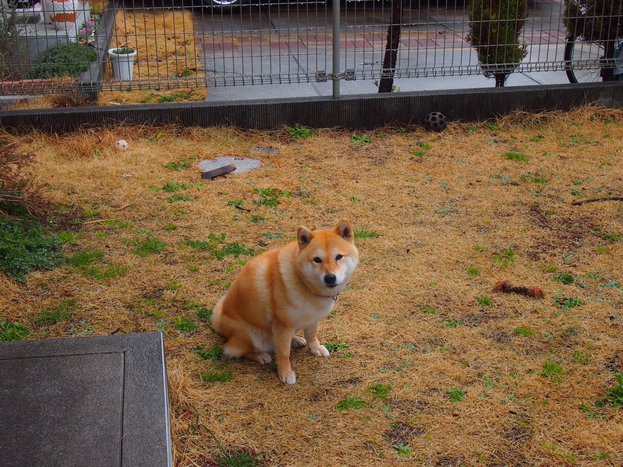 舞台越大越强，李刚仁闪耀欧洲，奥地利绝杀加纳背后的竞技哲学